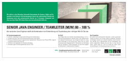 senior java engineer / teamleiter (m/w) 80 – 100