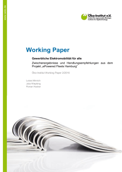 Working Paper - Öko