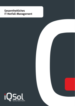 e-Book "IT-Notfall-Management"
