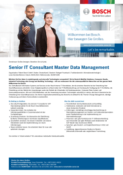 Senior IT Consultant Master Data Management