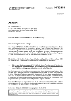 Drucksache 16/12818