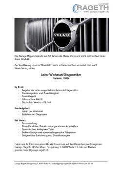 Leiter Werkstatt/Diagnostiker