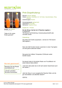 Druckversion