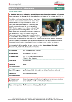 Flyer MINT-Werkstatt - zdi