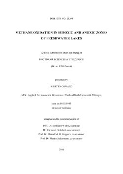 methane oxidation in suboxic and anoxic zones - ETH E
