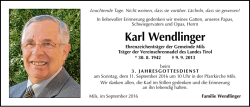 Karl Wendlinger