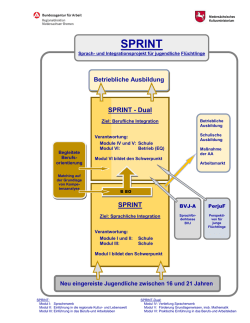 Grafik SPRINT-Dual - Nieders&auml;chsisches Kultusministerium