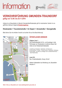 Infoblatt zum
