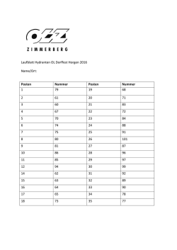 Lösung - OL Zimmerberg
