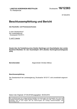 Drucksache 16/12383