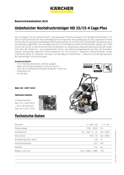 Unbeheizter Hochdruckreiniger HD 25/15-4 Cage Plus