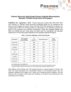 Pasinex Discovers High-Grade Primary Sulphide Mineralization