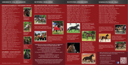 Flyer für 2016
