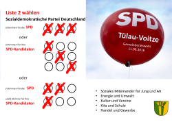 Flyer - (SPD) Ortsverein Tülau