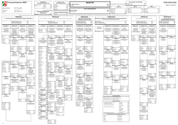 Organisationsplan des Finanzministeriums