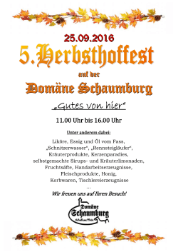 Dom&auml;ne Schaumbur gg