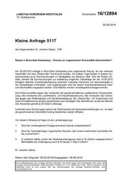 Drucksache 16/12894