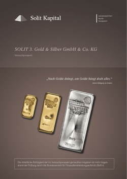 SOLIT Gruppe – Ihr Partner für die Vermögenssicherung.