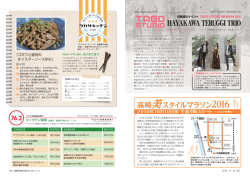 HAYAKAWA TERUGGI TRIO