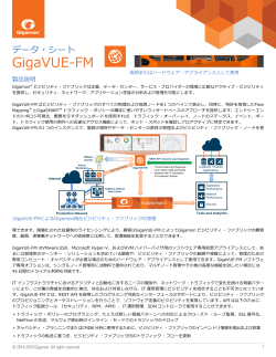 データ・シート GigaVUE-FM Datasheet vmware