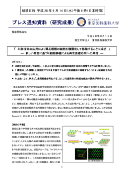 印刷技術の応用により異る種類の細胞を積層化して
