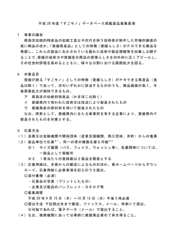 募集要項（PDF：138KB）