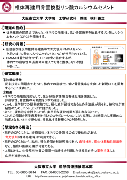 椎体再建用骨置換型リン酸カルシウムセメント