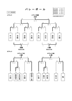 バレーボール競技結果 (PDF形式：58KB)