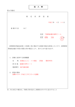 記 入 例