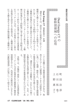 Dual Energy CT の 躯幹部領域への応用