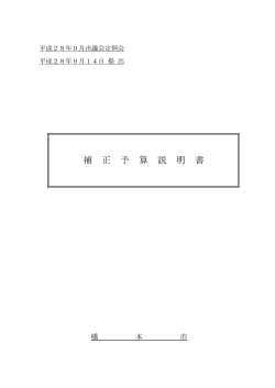 補 正 予 算 説 明 書