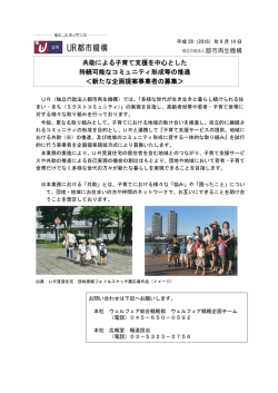 共助による子育て支援を中心とした 持続可能な
