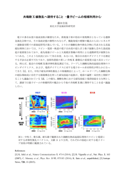 共鳴軟 X 線散乱へ期待すること &ndash;量子ビームの相補利用から