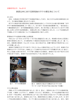釧路沿岸における降海後のサケの餌生物について
