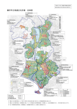 藤沢市立地適正化計画 全体図