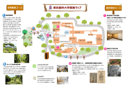 東京薬科大学散策マップ