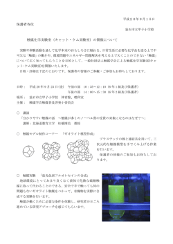 キャット・ケム実験室