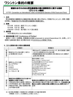 ワシントン条約の概要(PDF : 159KB)