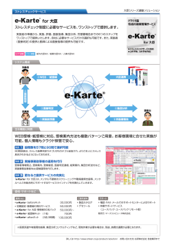 e-Karte for 大臣