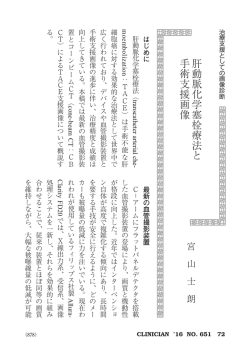 肝動脈化学塞栓療法と 手術支援画像