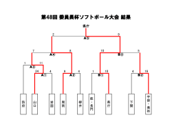 第48回 委員長杯ソフトボール大会 結果