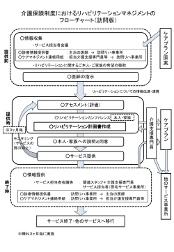 02フローチャート（訪問リハ）