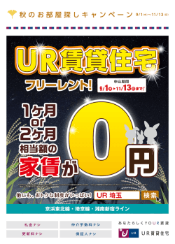 読売新聞折込み！ 9/16（金）朝日・日経新聞折込み