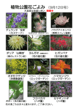 植物公園花ごよみ （9月12日号）