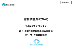 資料6-1 需給調整費について（PDF形式：3198KB）