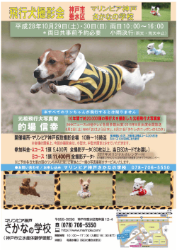 飛行犬 - マリンピア神戸さかなの学校