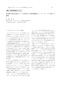 血管新生阻害治療によって活性化する悪性腫瘍化ノンコーディング RNA
