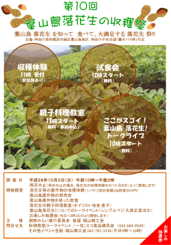第10回葉山島落花生収穫祭が開催します。 2016.9.9