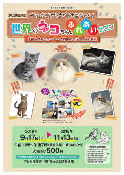 子猫ふれあいコーナー、世界のめずらしい猫の展示を行います。