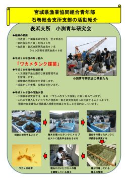 表浜支所 小渕青年研究会 宮城県漁業協同組合青年部 石巻総合支所